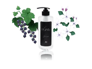 「LOA（ロア）」