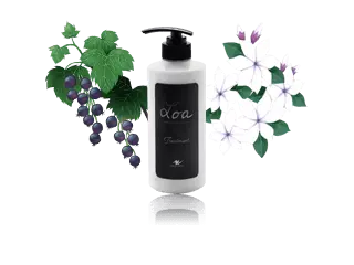 「LOA（ロア）」