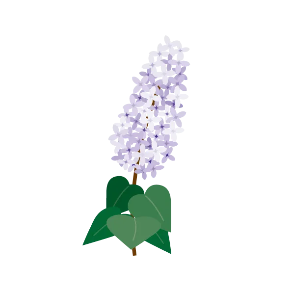 ホワイトフローラル